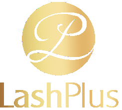 Human Hair Extensions Eyebrow Extensions Eyelash Extensions